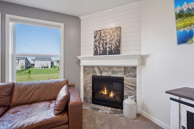 12745 39th St NE, Saint Michael, MN 55376 - living area featuring a tile fireplace, carpet flooring, and wooden walls
