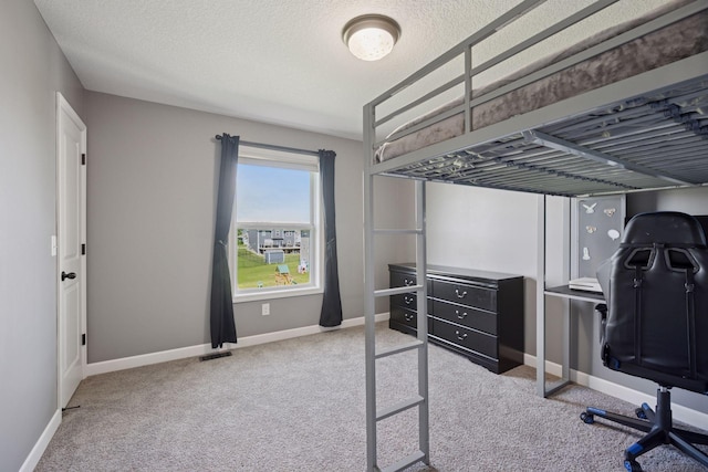 12745 39th St NE, Saint Michael, MN 55376 - bedroom with carpet flooring and a textured ceiling