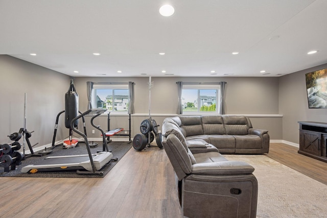 12745 39th St NE, Saint Michael, MN 55376 - workout room with recessed lighting, wood finished floors, and plenty of natural light