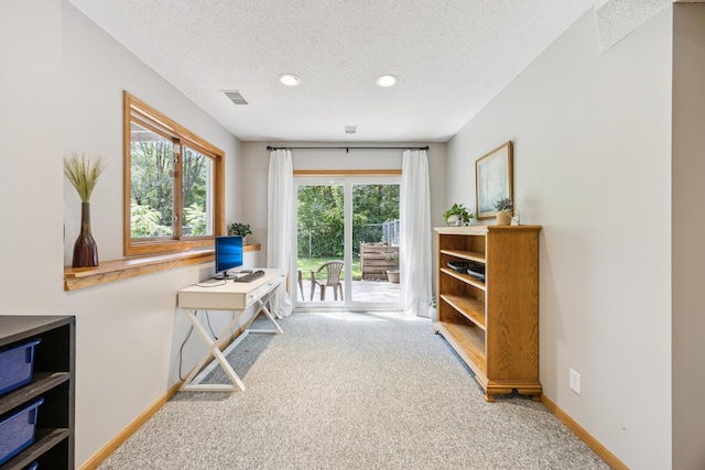 11810 191 1/2 Ave NW, Elk River, MN 55330 - home office featuring carpet flooring, a textured ceiling, and recessed lighting