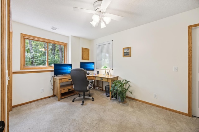 11810 191 1/2 Ave NW, Elk River, MN 55330 - office area featuring carpet and a ceiling fan