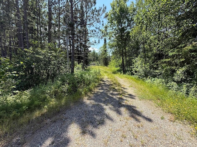 36719 State Highway 65, Nashwauk Twp, MN 55769 - photo 1