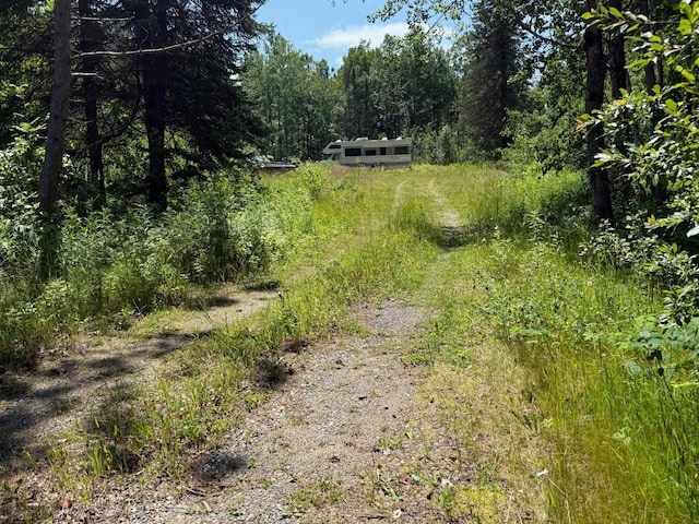 36719 State Highway 65, Nashwauk Twp, MN 55769 - photo 4