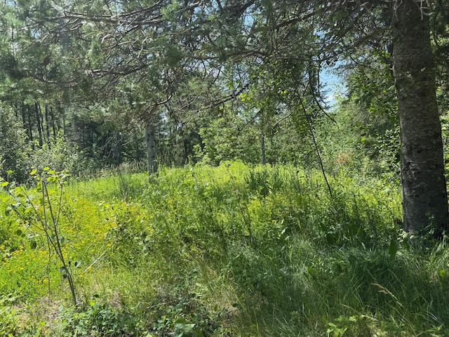 36719 State Highway 65, Nashwauk Twp, MN 55769 - photo 6