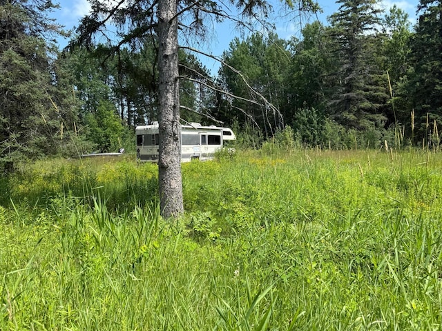 36719 State Highway 65, Nashwauk Twp, MN 55769 - photo 10