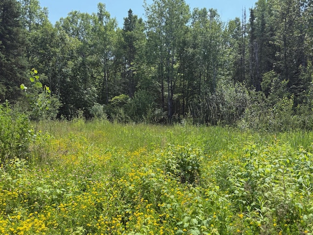 36719 State Highway 65, Nashwauk Twp, MN 55769 - photo 13