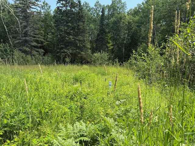 36719 State Highway 65, Nashwauk Twp, MN 55769 - photo 15