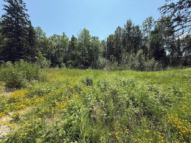 36719 State Highway 65, Nashwauk Twp, MN 55769 - photo 18