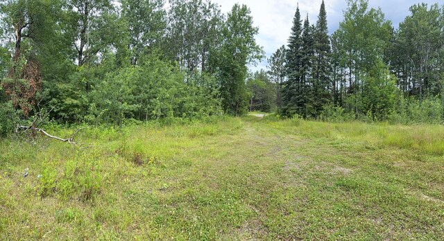 36719 State Highway 65, Nashwauk Twp, MN 55769 - photo 5
