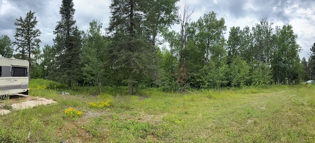 36719 State Highway 65, Nashwauk Twp, MN 55769 - photo 23