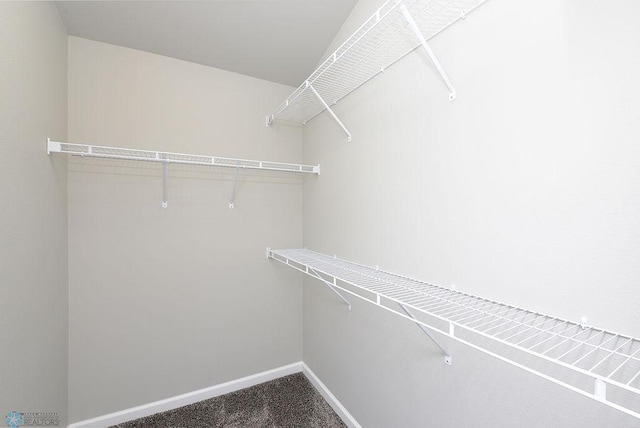 1040 Barnes Dr, West Fargo, ND 58078 - spacious closet with carpet