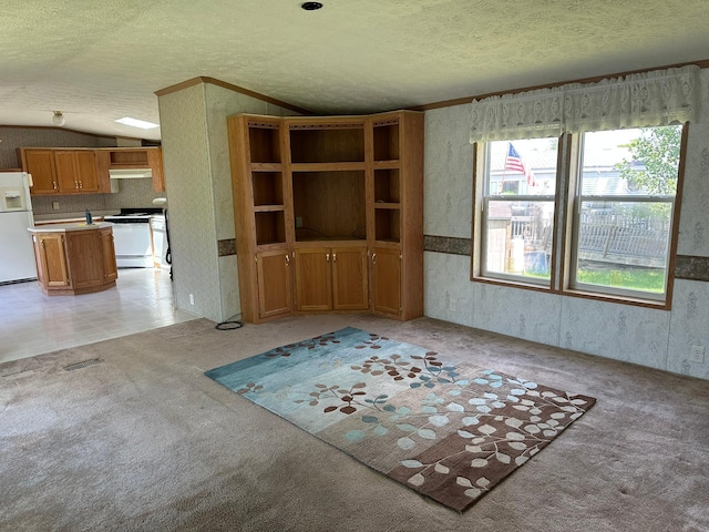 509 22 1/2 St NW, Stewartville, MN 55976 - photo 4