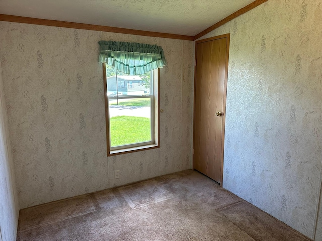 509 22 1/2 St NW, Stewartville, MN 55976 - photo 12
