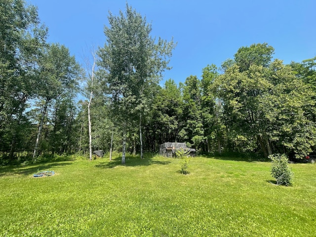 19732 Cardinal Rd NW, Bemidji, MN 56601 - photo 21