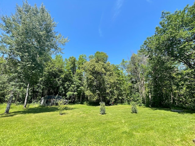 19732 Cardinal Rd NW, Bemidji, MN 56601 - photo 30