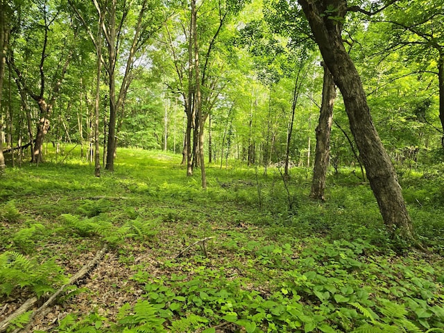 TBD 120th Ave, Balsam Lake Twp, WI 54001