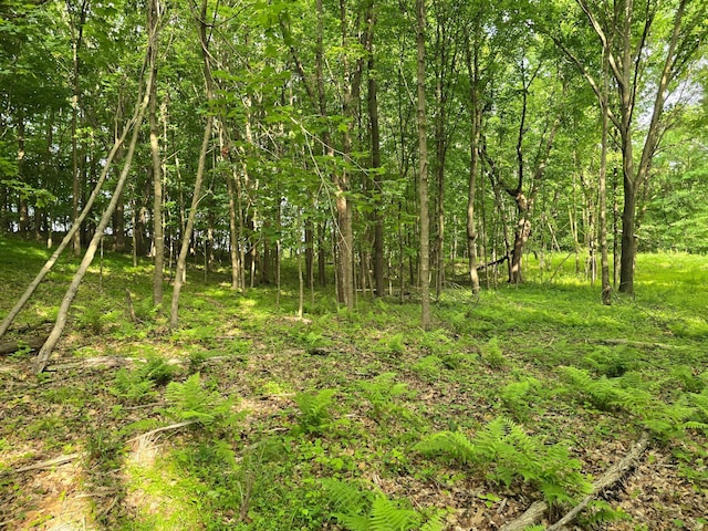 TBD 120th Ave, Balsam Lake Twp, WI 54001