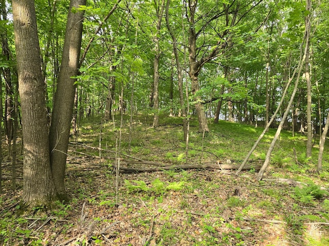 TBD 120th Ave, Balsam Lake Twp, WI 54001
