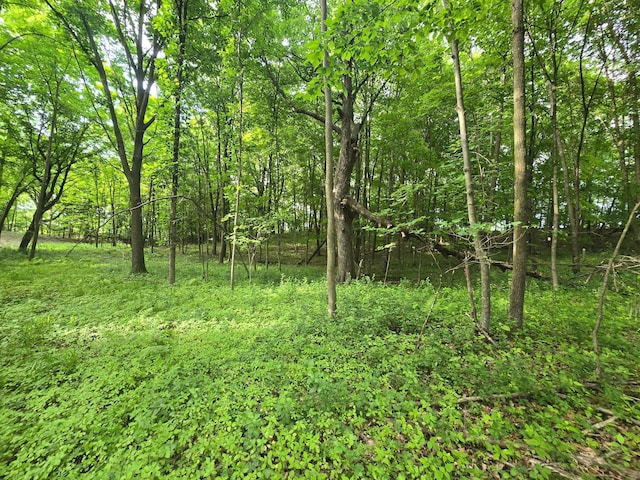 TBD 120th Ave, Balsam Lake Twp, WI 54001