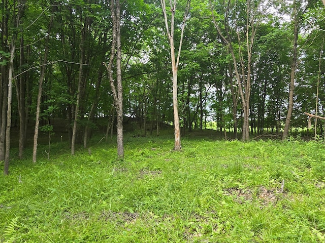 TBD 120th Ave, Balsam Lake Twp, WI 54001