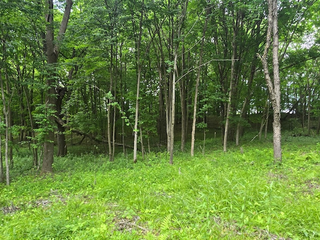 TBD 120th Ave, Balsam Lake Twp, WI 54001