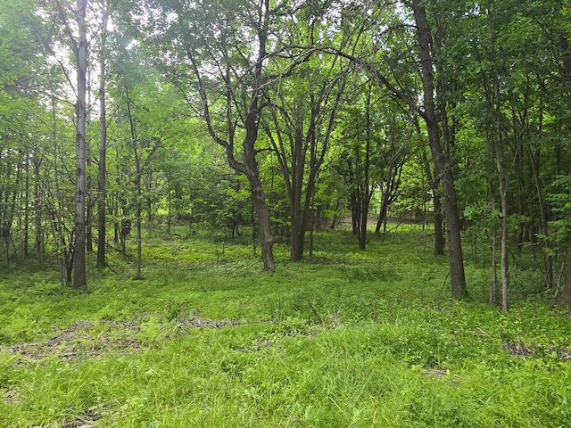 TBD 120th Ave, Balsam Lake Twp, WI 54001