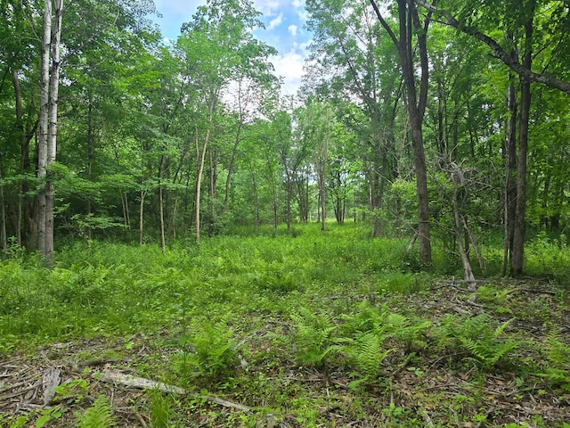 TBD 120th Ave, Balsam Lake Twp, WI 54001