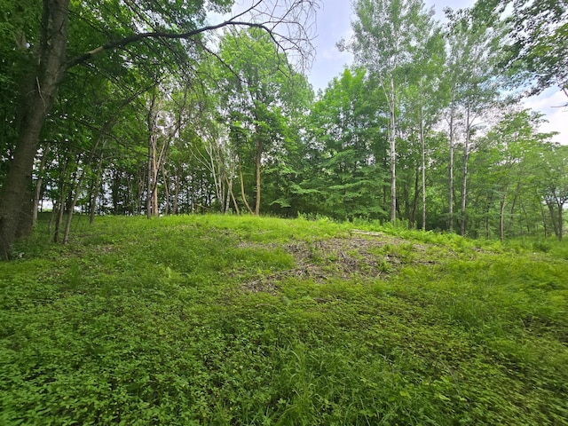 TBD 120th Ave, Balsam Lake Twp, WI 54001