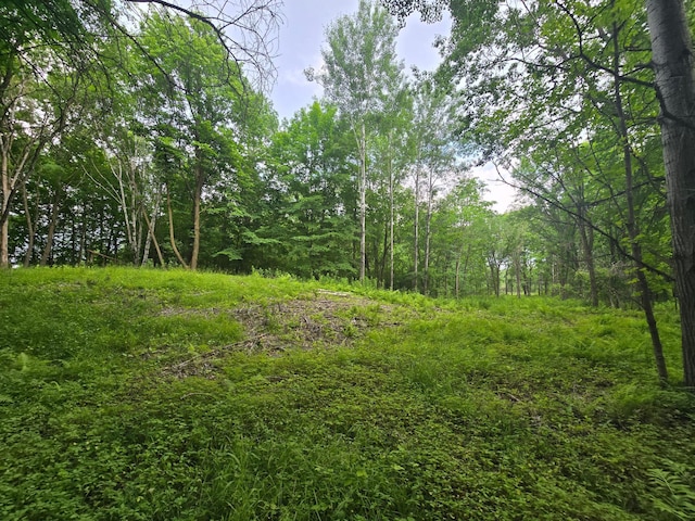 TBD 120th Ave, Balsam Lake Twp, WI 54001