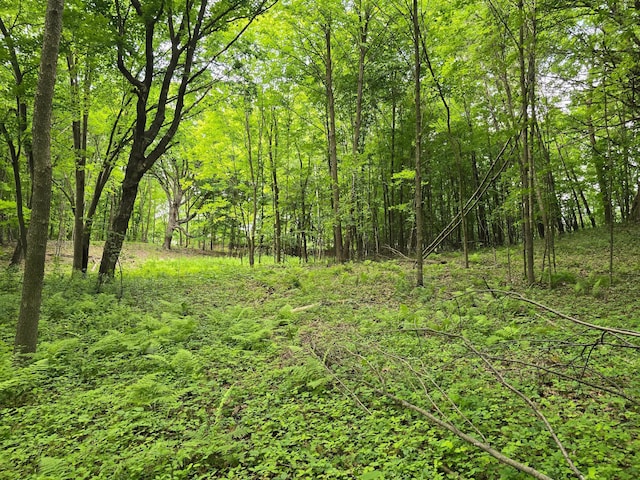 TBD 120th Ave, Balsam Lake Twp, WI 54001