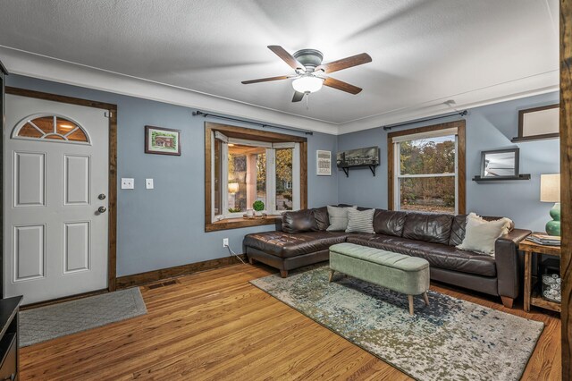 7301 James Ave S, Richfield, MN 55423 - photo 3