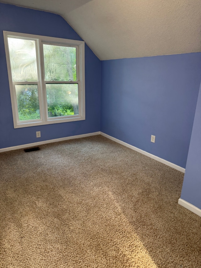 663 Smith Ave S, Saint Paul, MN 55107 - additional living space with lofted ceiling and carpet flooring