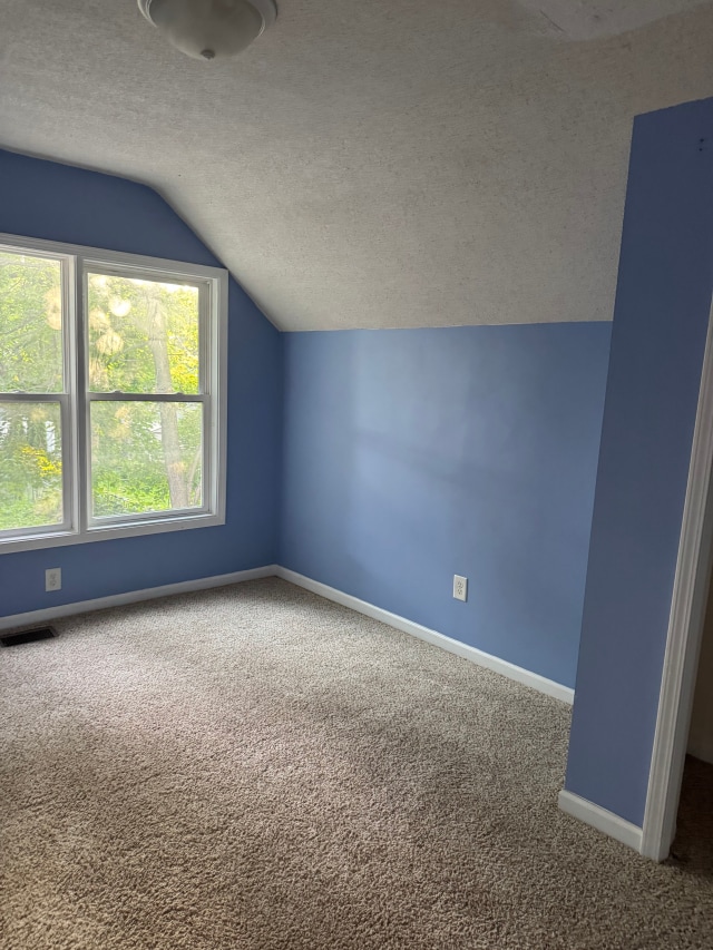 663 Smith Ave S, Saint Paul, MN 55107 - bonus room featuring lofted ceiling, carpet, and a textured ceiling