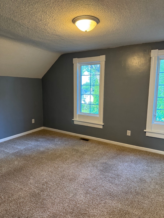 663 Smith Ave S, Saint Paul, MN 55107 - additional living space with carpet floors, a textured ceiling, and lofted ceiling