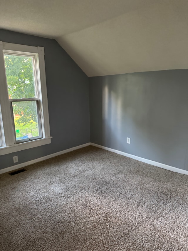 663 Smith Ave S, Saint Paul, MN 55107 - additional living space featuring lofted ceiling and carpet flooring