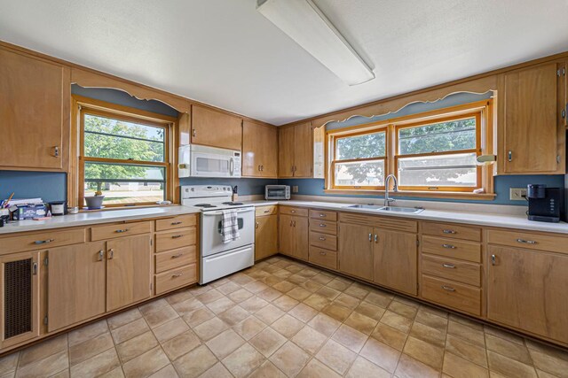 440 6th St, Lafayette, MN 56054 - kitchen featuring white appliances, light countertops, and plenty of natural light