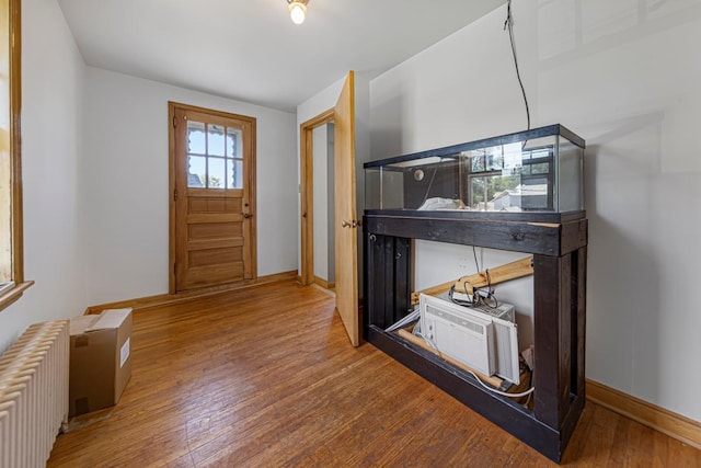 440 6th St, Lafayette, MN 56054 - entryway featuring radiator heating unit and wood finished floors