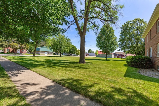 440 6th St, Lafayette, MN 56054 - view of green lawn