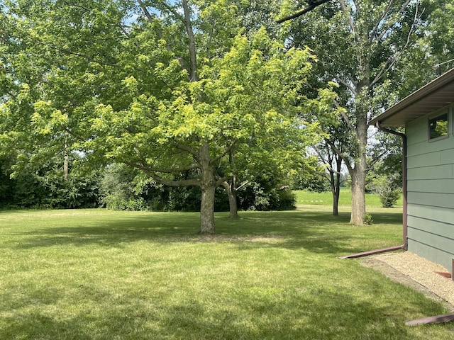 741 Main St, Tracy, MN 56175 - photo 12
