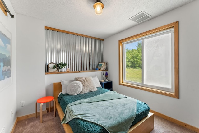 29225 113th St, Princeton, MN 55371 - photo 42