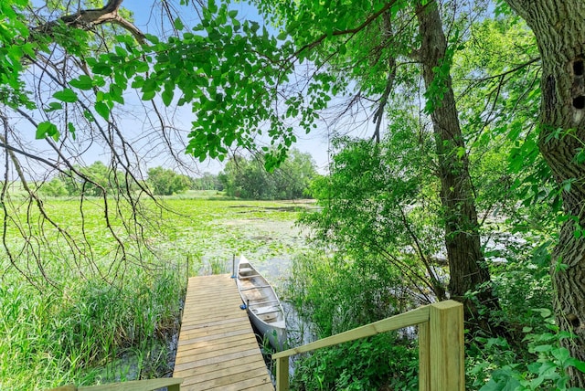 29225 113th St, Princeton, MN 55371 - photo 81
