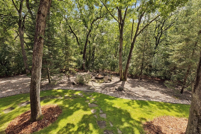 13985 Crowne Hill Ln, Minnetonka, MN 55305 - photo 104