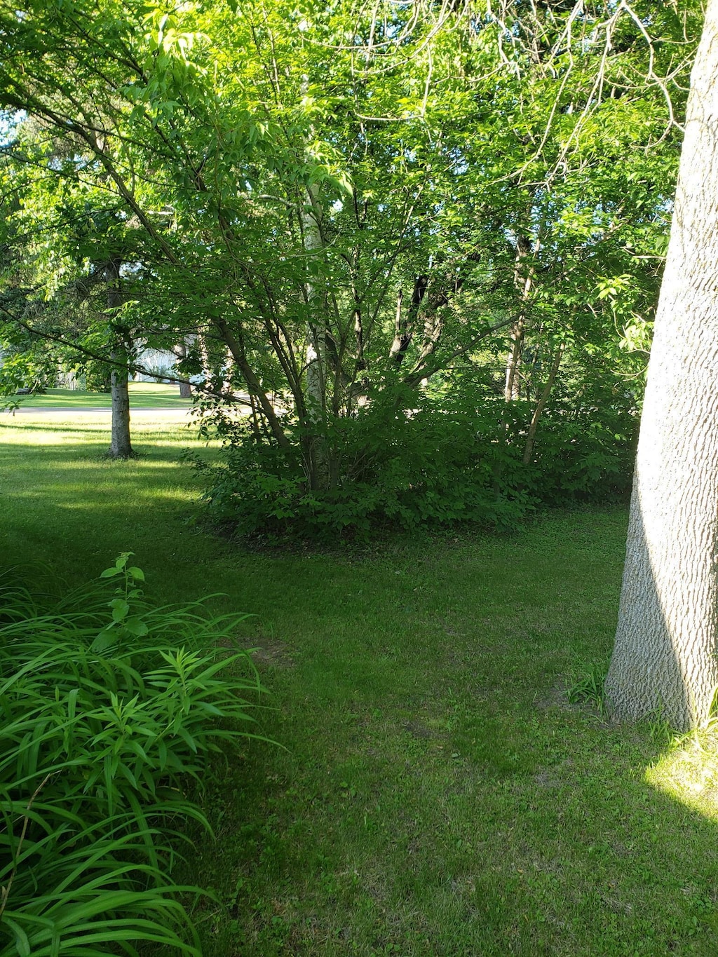 TBD 6th St NE, Crosby, MN 56441