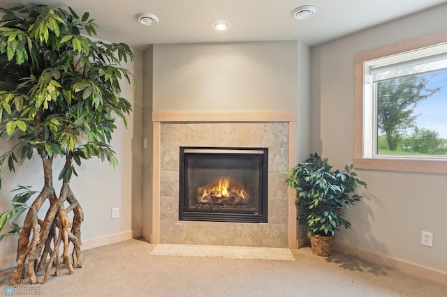 1811 7th St, Fargo, ND 58078 - detailed view of carpet and a fireplace