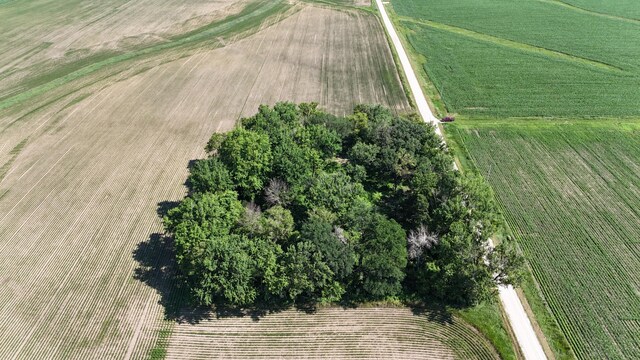 TBD 122nd Ave NE, Viola Twp, MN 55934 - photo 3
