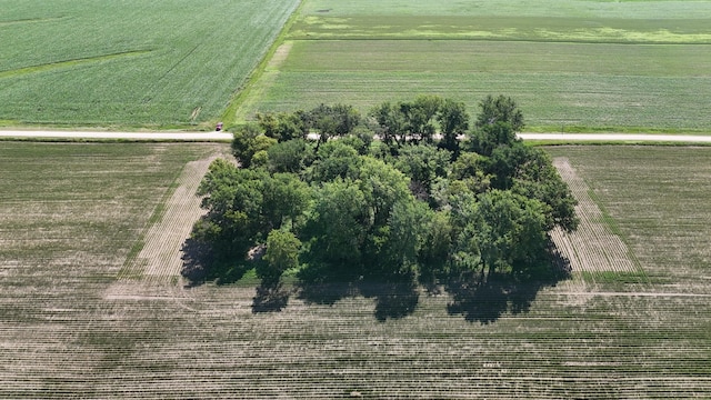 TBD 122nd Ave NE, Viola Twp, MN 55934 - photo 5