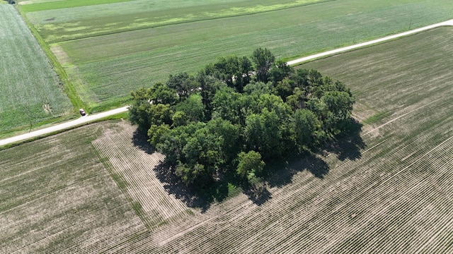 TBD 122nd Ave NE, Viola Twp, MN 55934 - photo 6