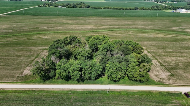 TBD 122nd Ave NE, Viola Twp, MN 55934 - photo 12