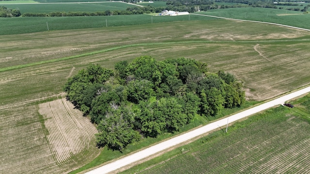 TBD 122nd Ave NE, Viola Twp, MN 55934 - photo 13