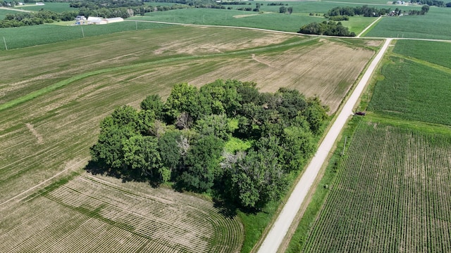 TBD 122nd Ave NE, Viola Twp, MN 55934 - photo 14